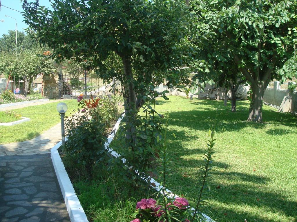 Villa Tonia Apartments Sarti Exterior photo